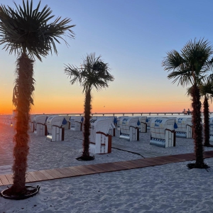 Strandkorb Grömitz Palmen